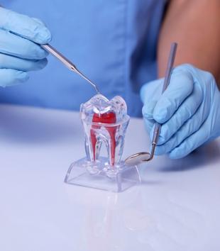Prosthodontists